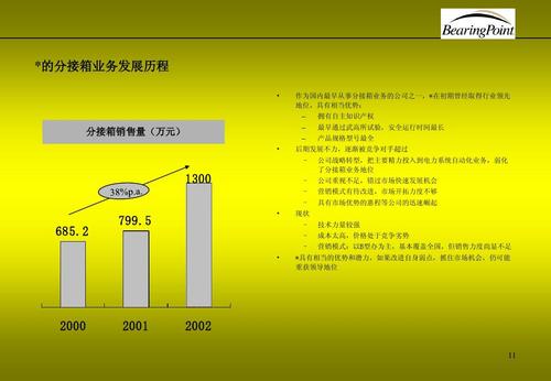 罗兰贝格 某品牌战略业务规划ppt_word文档在线阅读与下载_无